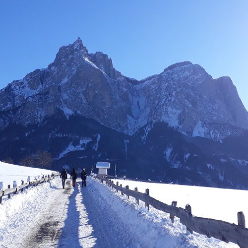 Winter vacation at the Alpe di Siusi