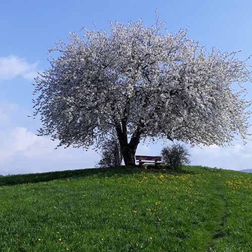 Vacanze di primavera in Alto Adige