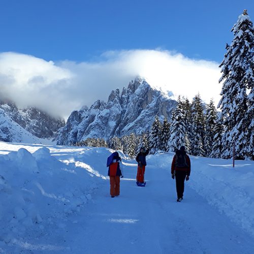 Winter vacation & skiing vacation on the Alpe di Siusi