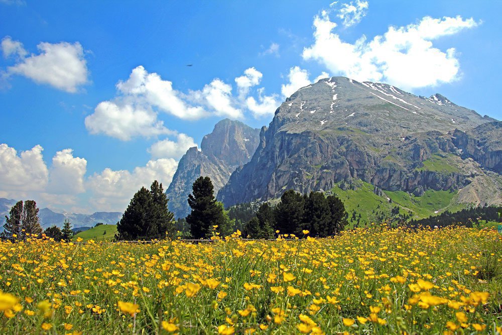 Fr  hling auf der Seiser Alm     kienzlhof com