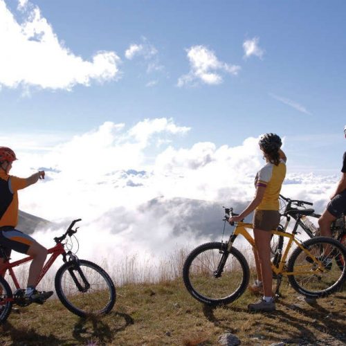 Cycling and mountain biking in South Tyrol