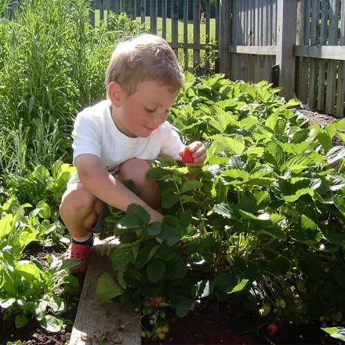 Esperienze per bambini Alpe di Siusi