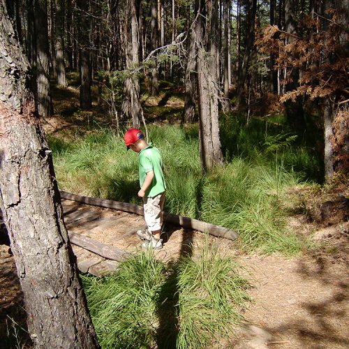 Esperienze per bambini Alpe di Siusi