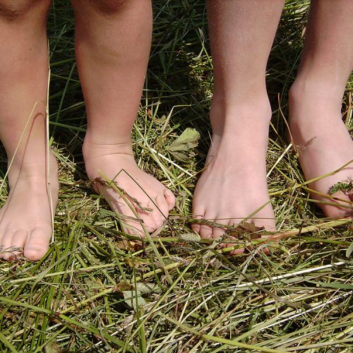 Esperienze per bambini Alpe di Siusi