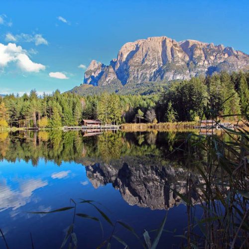 Summer at the Alpe di Siusi