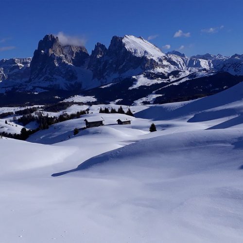 Vacanza invernale sull'Alpe di Siusi