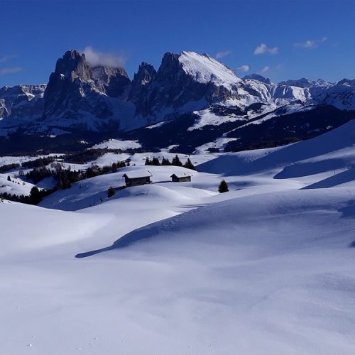 Winter vacation at the Alpe di Siusi