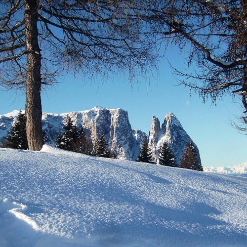 Winter vacation at the Alpe di Siusi