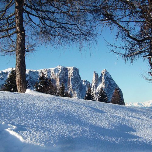 Vacanza invernale sull'Alpe di Siusi