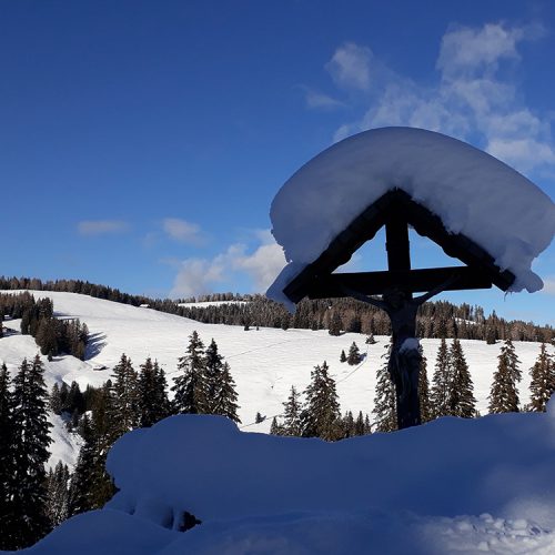 Vacanza invernale sull'Alpe di Siusi