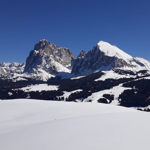 Winter vacation at the Alpe di Siusi