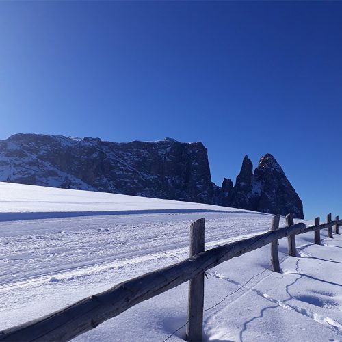 Vacanza invernale sull'Alpe di Siusi